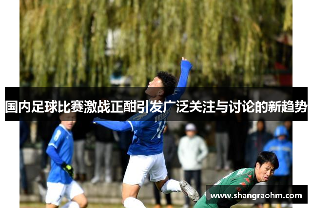 国内足球比赛激战正酣引发广泛关注与讨论的新趋势