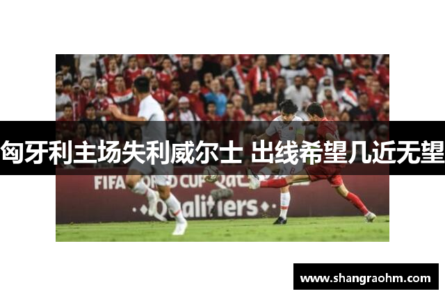 匈牙利主场失利威尔士 出线希望几近无望