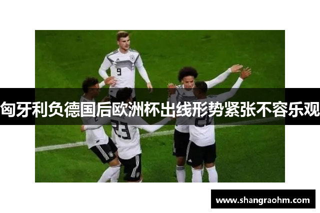 匈牙利负德国后欧洲杯出线形势紧张不容乐观