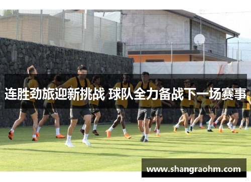 连胜劲旅迎新挑战 球队全力备战下一场赛事
