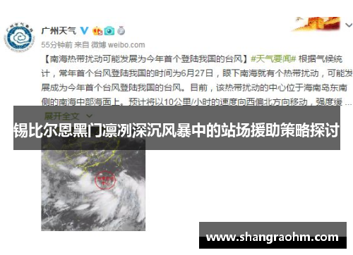 锡比尔恩黑门凛冽深沉风暴中的站场援助策略探讨