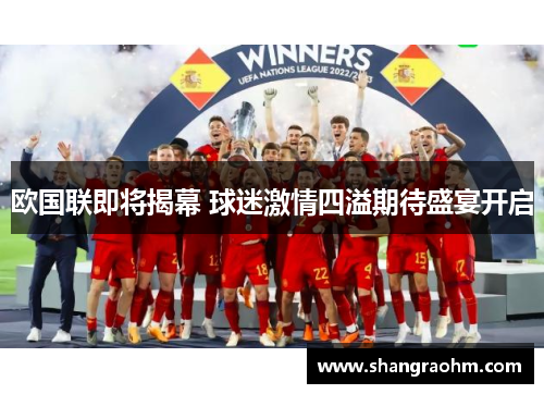 欧国联即将揭幕 球迷激情四溢期待盛宴开启
