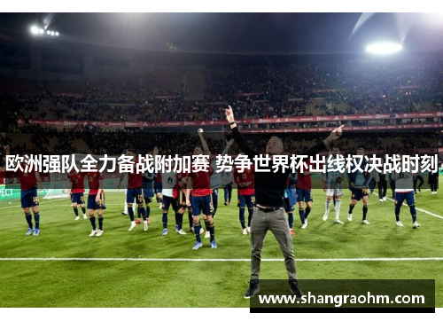 欧洲强队全力备战附加赛 势争世界杯出线权决战时刻