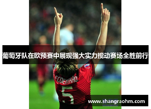 葡萄牙队在欧预赛中展现强大实力搅动赛场全胜前行