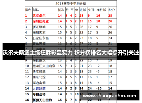 沃尔夫斯堡主场狂胜彰显实力 积分榜排名大幅提升引关注