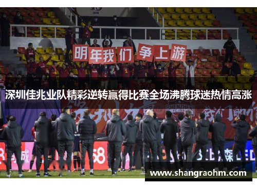 深圳佳兆业队精彩逆转赢得比赛全场沸腾球迷热情高涨