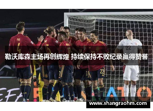 勒沃库森主场再创辉煌 持续保持不败纪录赢得赞誉