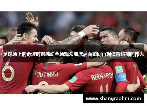 足球场上的奇迹时刻感动全场观众泪流满面瞬间再现体育精神的伟大