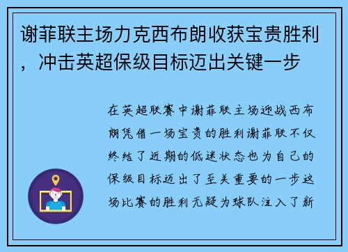 谢菲联主场力克西布朗收获宝贵胜利，冲击英超保级目标迈出关键一步