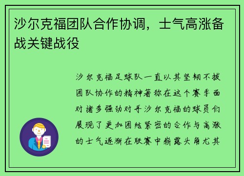 沙尔克福团队合作协调，士气高涨备战关键战役
