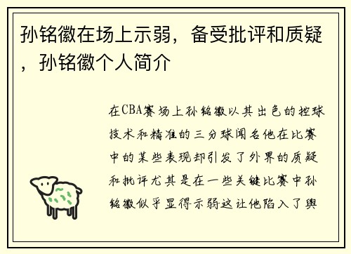 孙铭徽在场上示弱，备受批评和质疑，孙铭徽个人简介